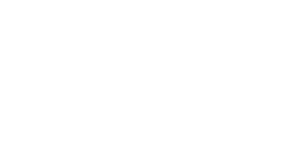 Akyapı Vera Kartal